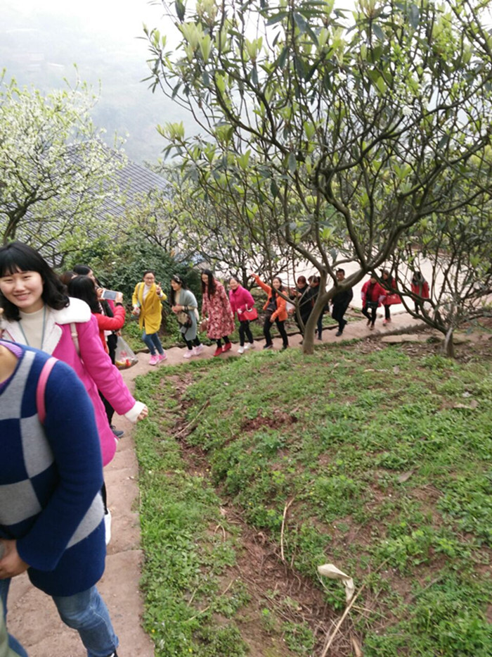 “三八”节登方山活动