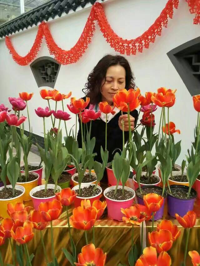 德育教研组教师文丽个人简介